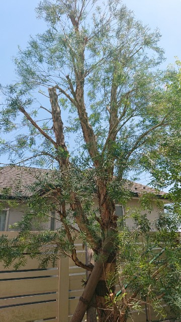 f:id:tcova:20211117141231j:image f:id:tcova:20211117141231j:image