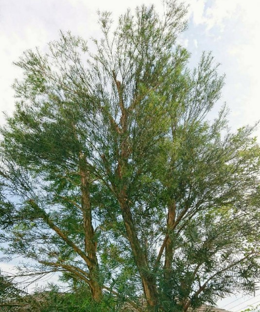 f:id:tcova:20211209182801j:image f:id:tcova:20211209182801j:image