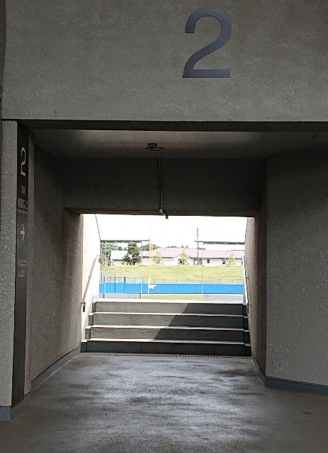 f:id:tcova:20220521212829j:image f:id:tcova:20220521212829j:image