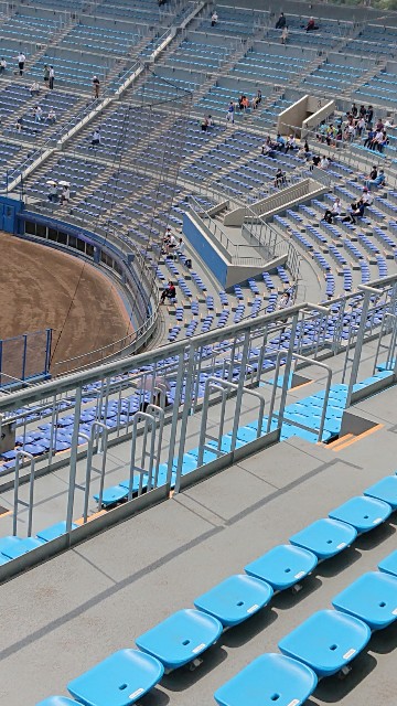 f:id:tcova:20220521220448j:image f:id:tcova:20220521220448j:image