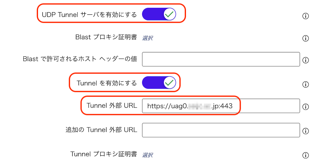 Horizon 8 (2506) -- Configure Horizon Settings on Unified Access