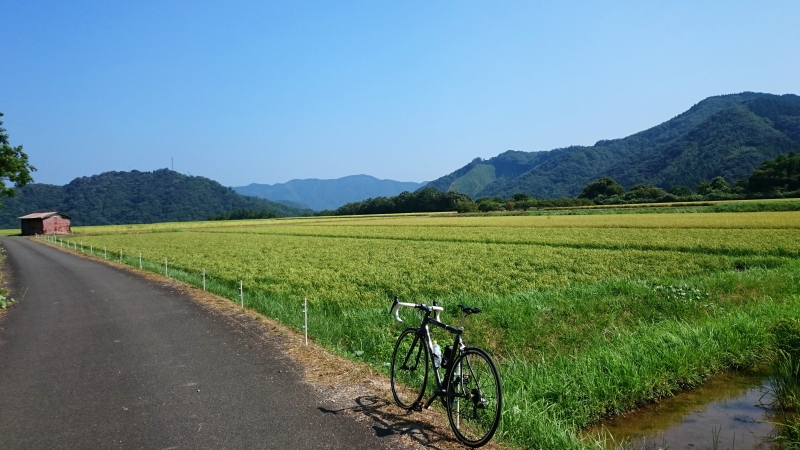 f:id:tdesu:20200825204313j:plain f:id:tdesu:20200825204313j:plain