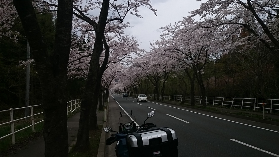 f:id:tdesu:20200913220435j:plain f:id:tdesu:20200913220435j:plain