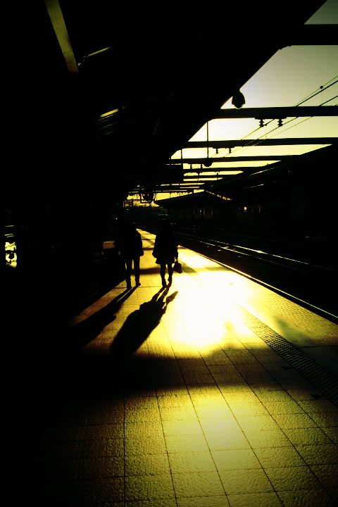 f:id:tdkm:20110120181625j:image f:id:tdkm:20110120181625j:image