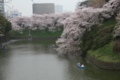 20100407095203