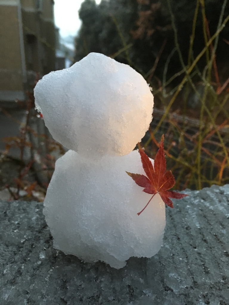 f:id:tdtto:20180110213542j:plain f:id:tdtto:20180110213542j:plain