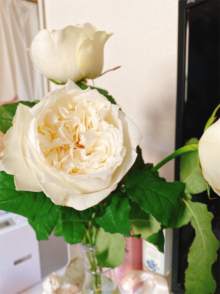 f:id:tea104tea:20200610074904j:image f:id:tea104tea:20200610074904j:image