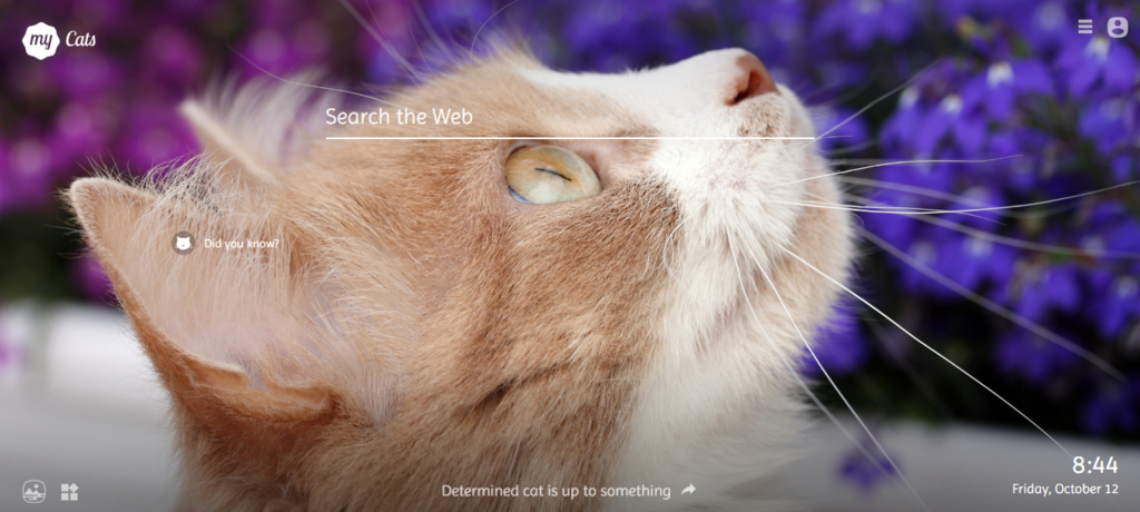 f:id:tea_cat:20181012084636p:plain f:id:tea_cat:20181012084636p:plain