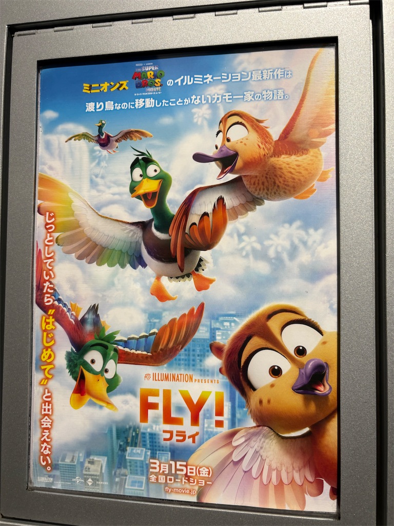 f:id:tea_rwB:20240321014145j:image