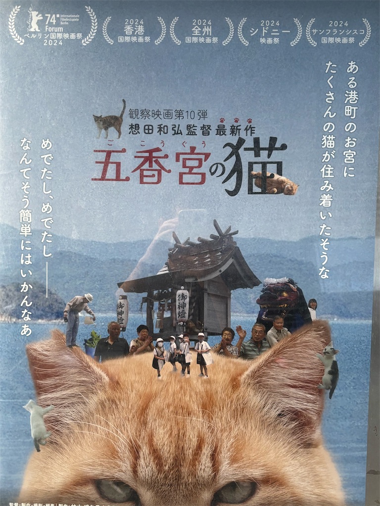 f:id:tea_rwB:20241108203651j:image