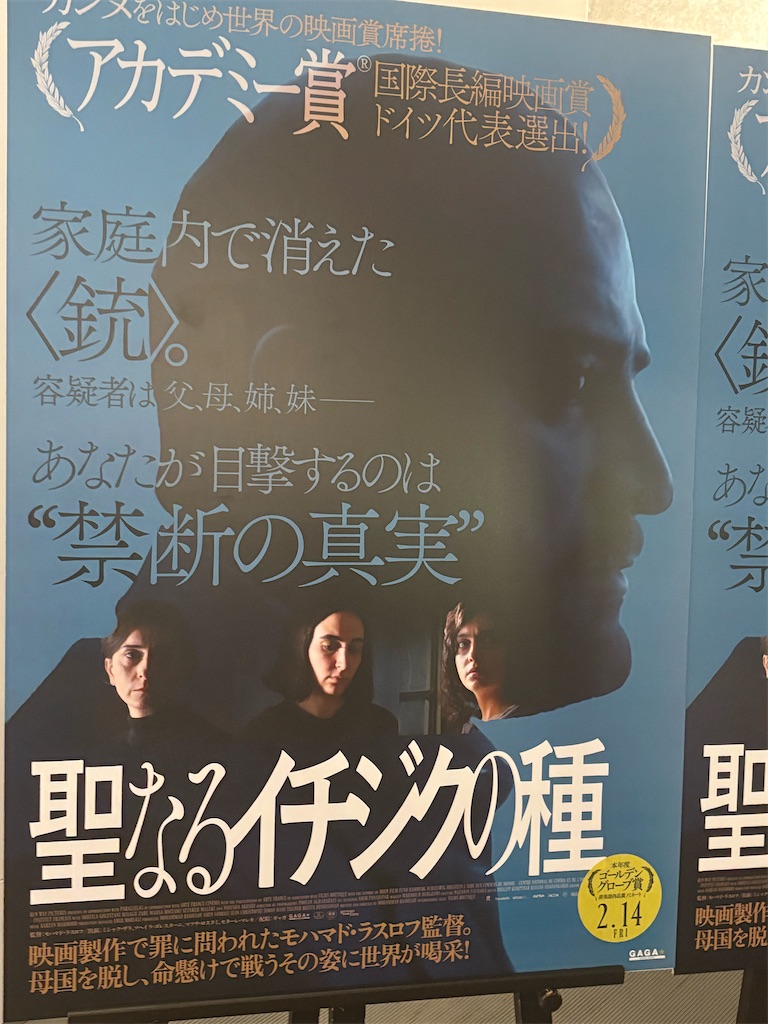 f:id:tea_rwB:20250122010735j:image
