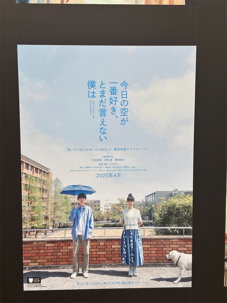 f:id:tea_rwB:20250514212603j:image