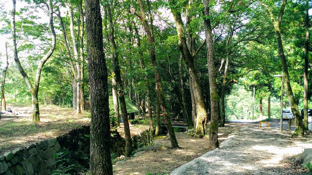 f:id:tea_tree:20201007094144j:plain f:id:tea_tree:20201007094144j:plain