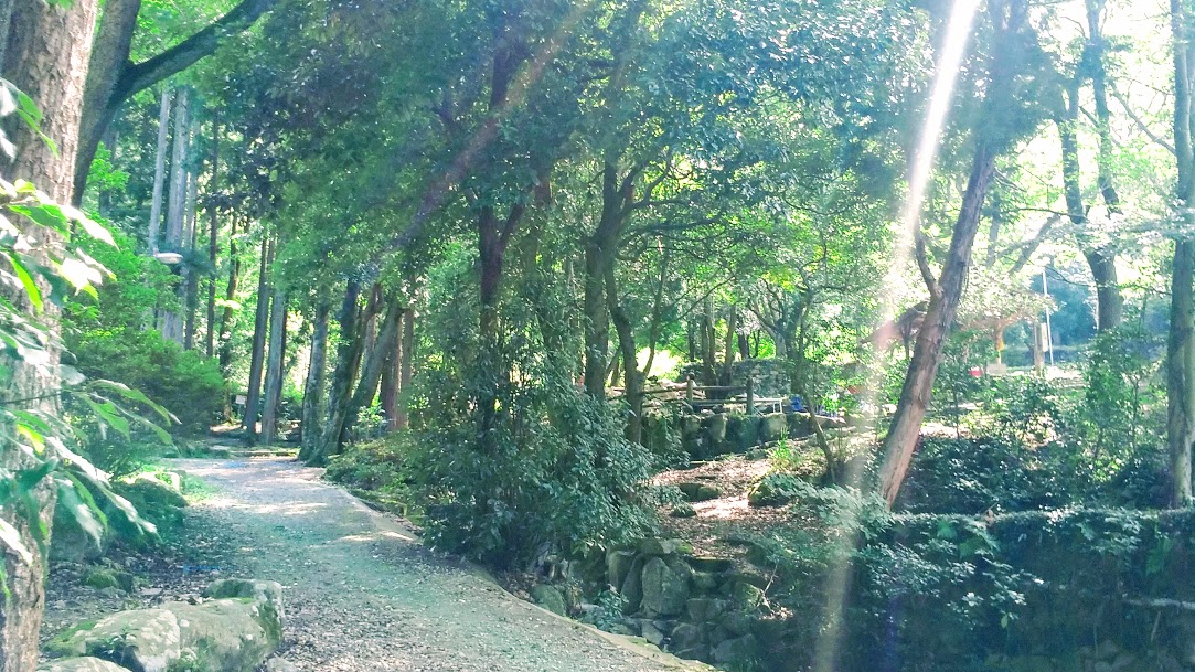 f:id:tea_tree:20201007094158j:plain f:id:tea_tree:20201007094158j:plain