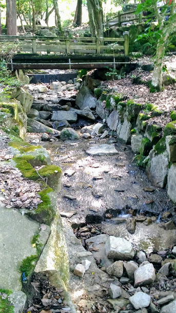 f:id:tea_tree:20201007094855j:plain f:id:tea_tree:20201007094855j:plain