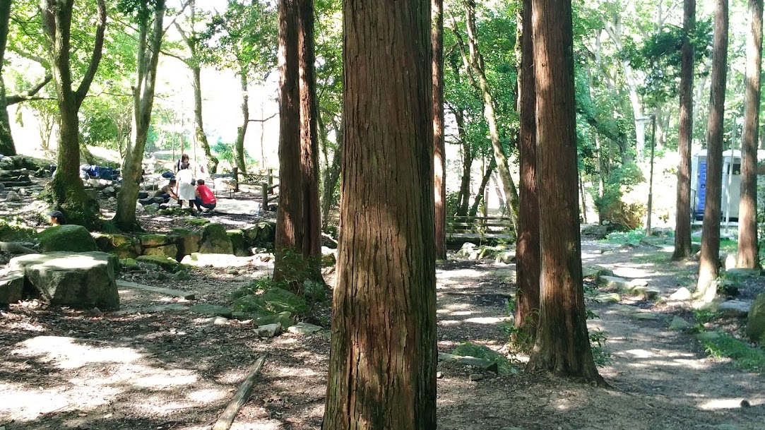 f:id:tea_tree:20201007100211j:plain f:id:tea_tree:20201007100211j:plain