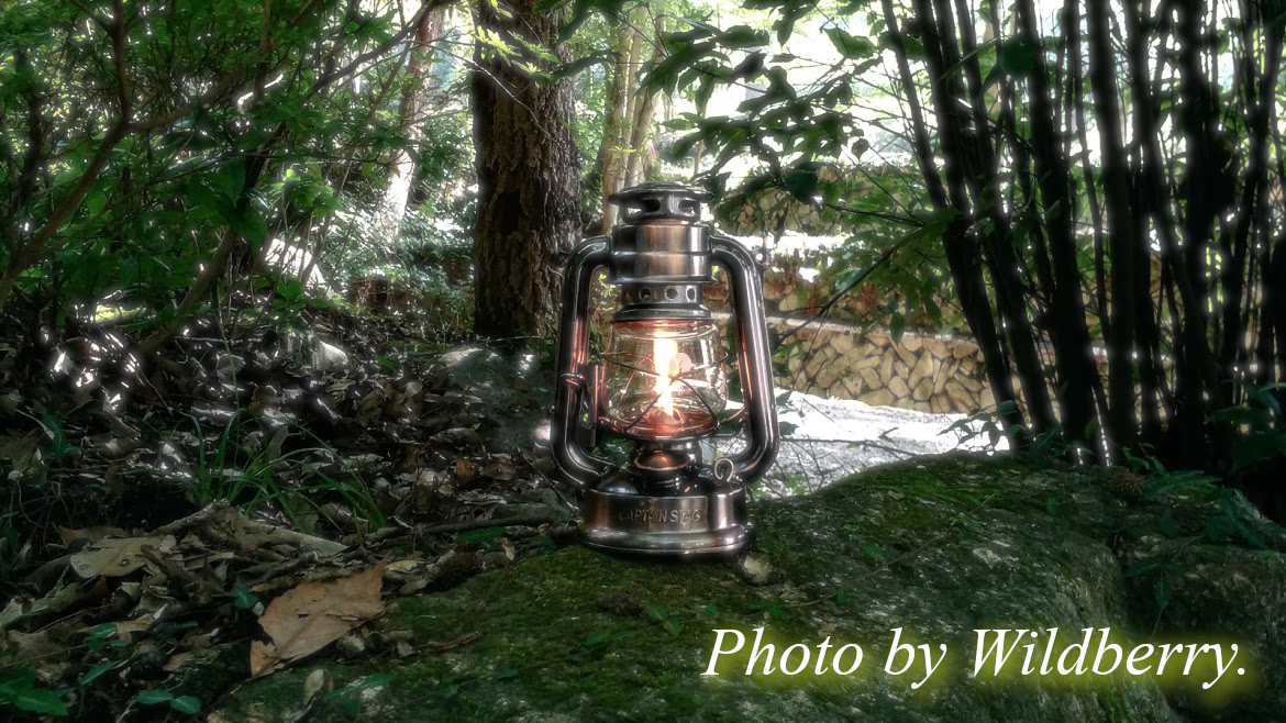 f:id:tea_tree:20201007105540j:plain f:id:tea_tree:20201007105540j:plain