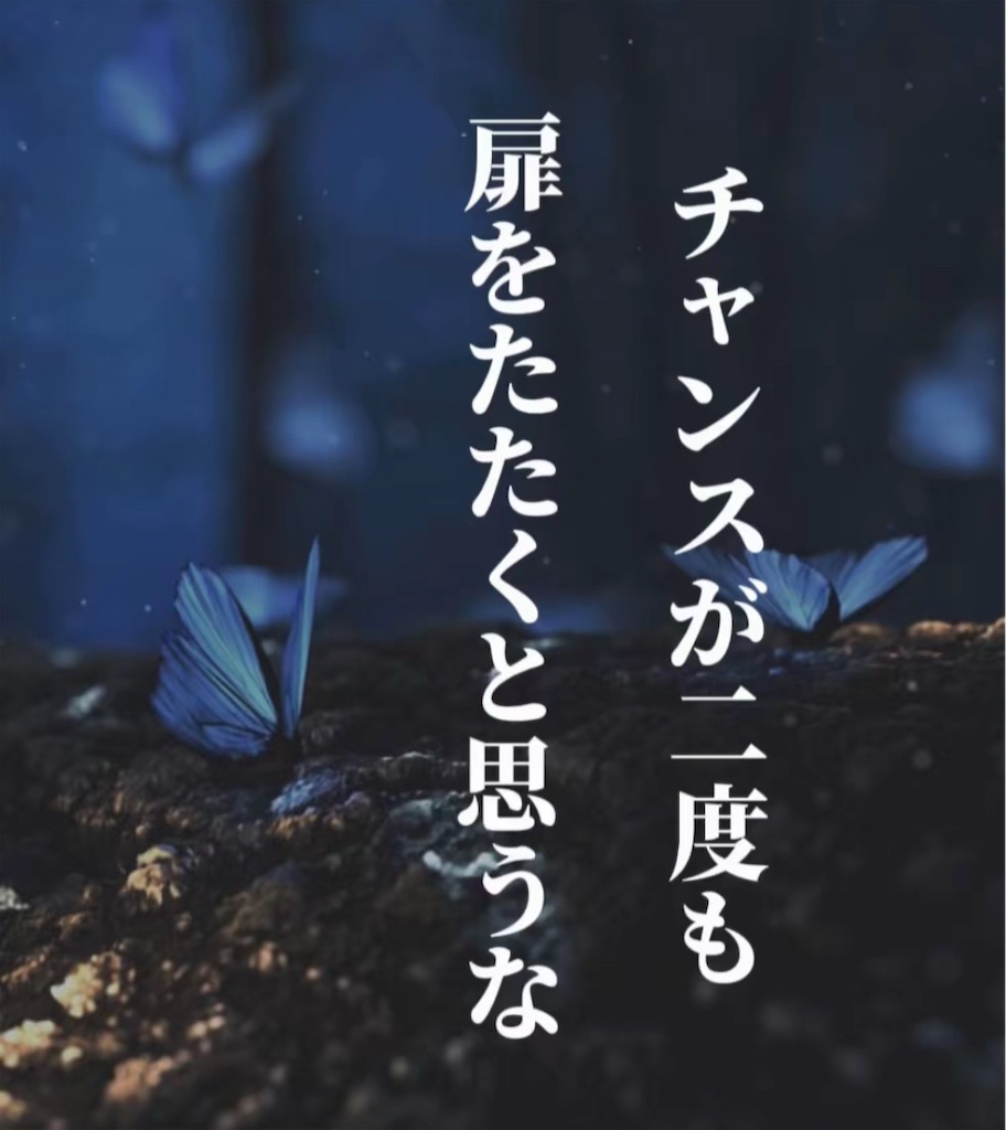 f:id:teacherdaidai:20250102234053j:image f:id:teacherdaidai:20250102234053j:image
