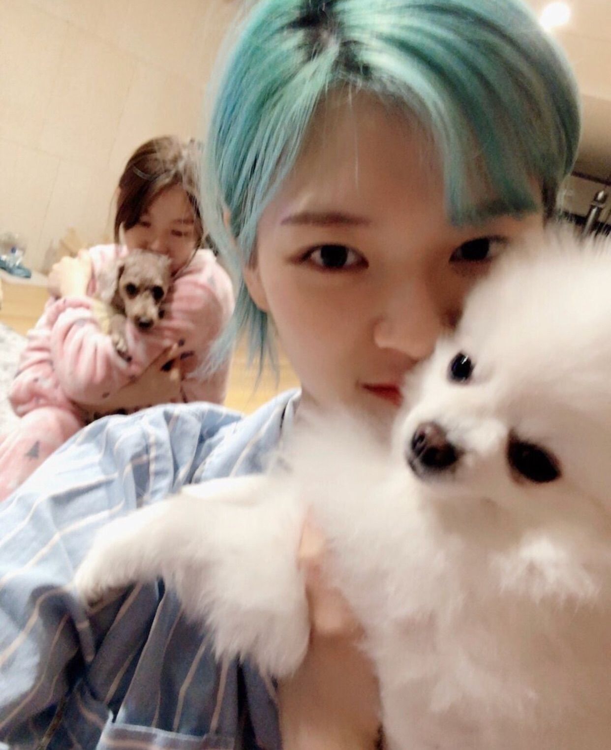 f:id:teajo:20180712213648j:image f:id:teajo:20180712213648j:image