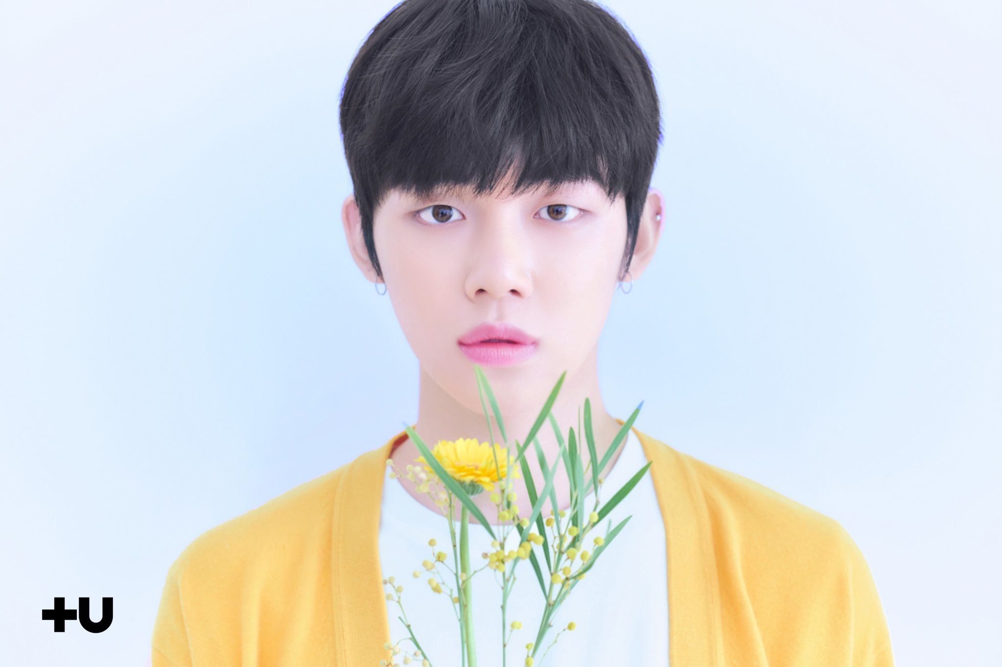 f:id:teajo:20190111020507j:image f:id:teajo:20190111020507j:image