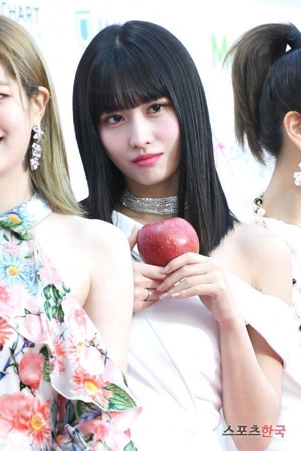 f:id:teajo:20190123205911j:image