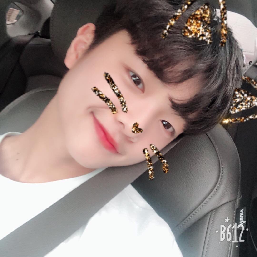 f:id:teajo:20190321201629j:image