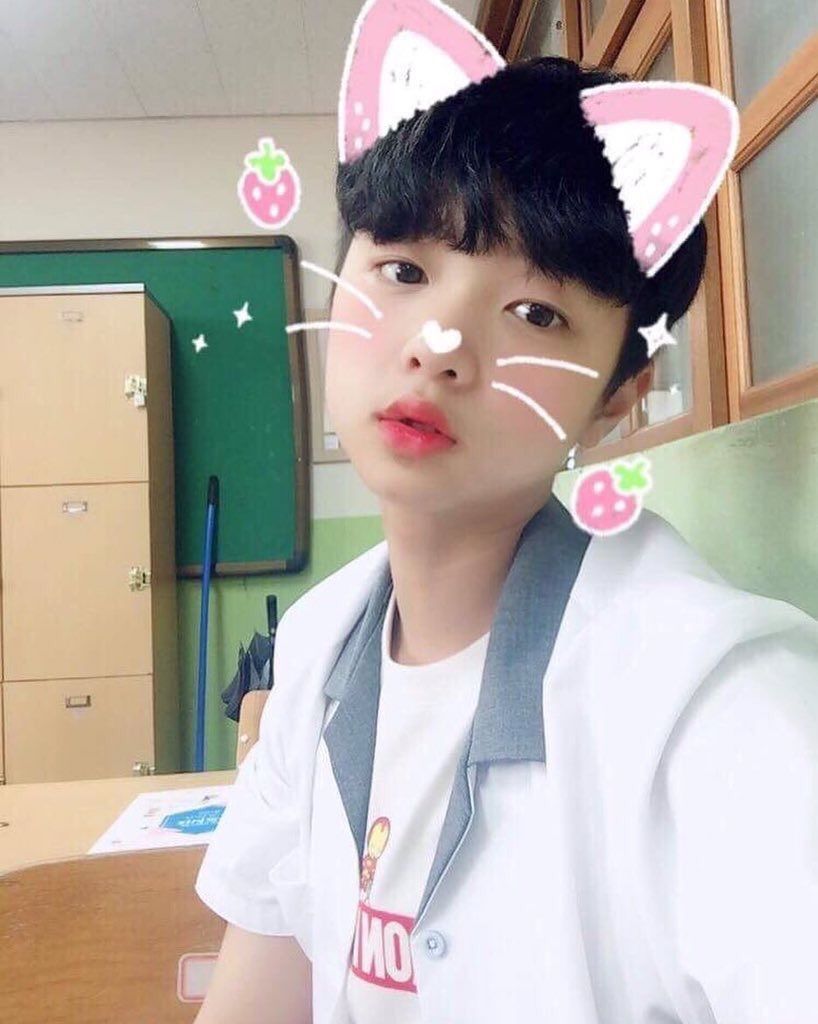 f:id:teajo:20190321201633j:image