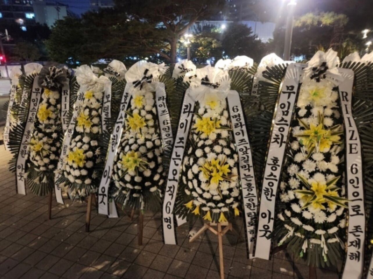 f:id:teajo:20241013071033j:image