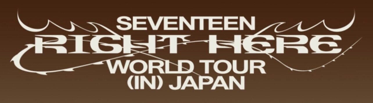 f:id:teajo:20241128215050j:image