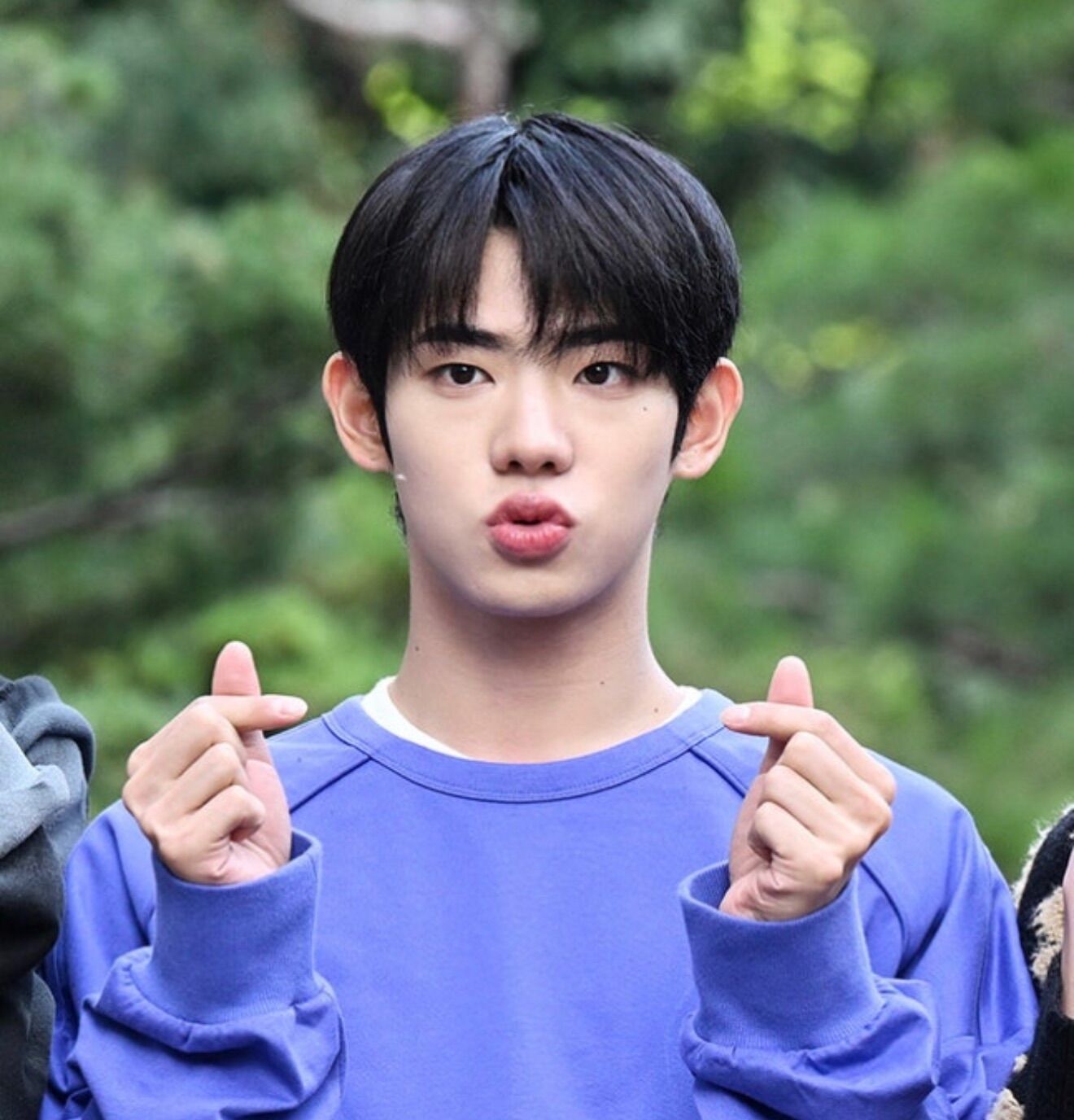 f:id:teajo:20251107164117j:image f:id:teajo:20251107164117j:image