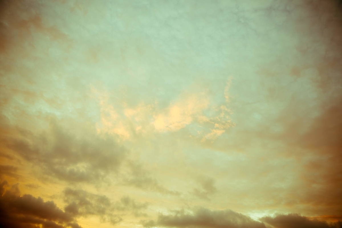 f:id:team-0:20200719152311j:plain f:id:team-0:20200719152311j:plain