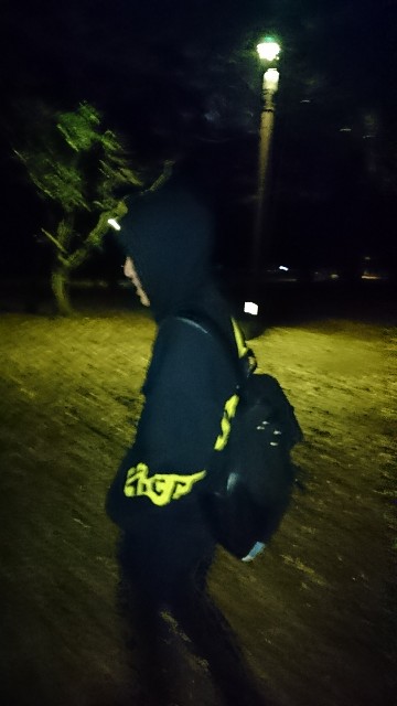 f:id:team-hanagami:20201208182356j:image f:id:team-hanagami:20201208182356j:image