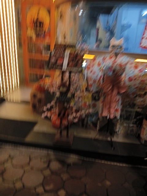 f:id:team-hanagami:20251011204659j:image