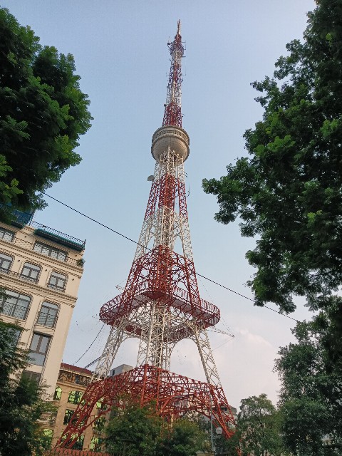 f:id:team-hanagami:20251012181656j:image
