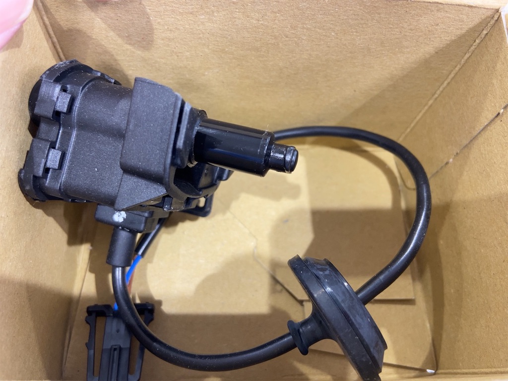 f:id:team-mho:20210819191309j:plain