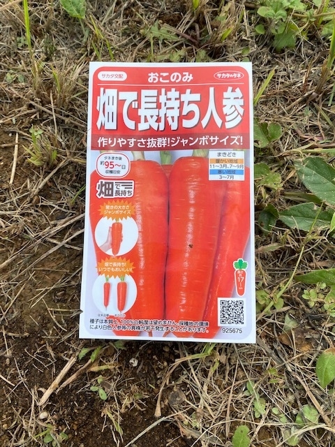 f:id:team-shimodaira:20210906113742j:plain