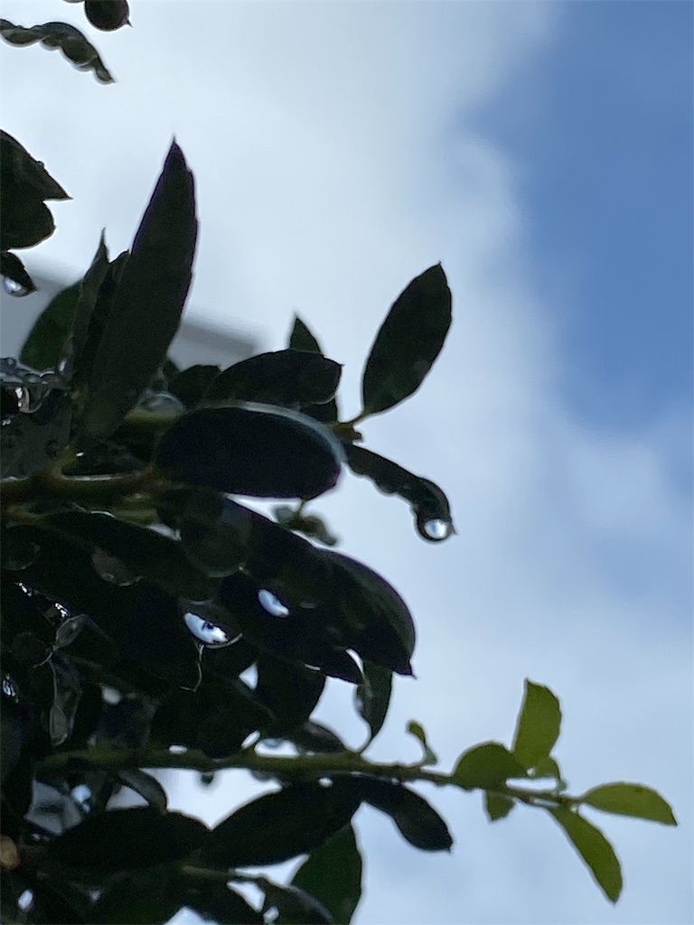 f:id:team0x:20190924081441j:image f:id:team0x:20190924081441j:image