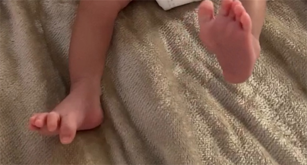 f:id:team0x:20191112093032j:image f:id:team0x:20191112093032j:image