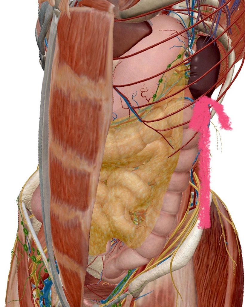 f:id:team0x:20200104080726j:image f:id:team0x:20200104080726j:image