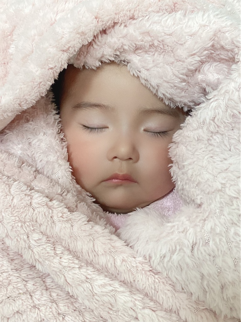 f:id:team0x:20200331083122j:image f:id:team0x:20200331083122j:image