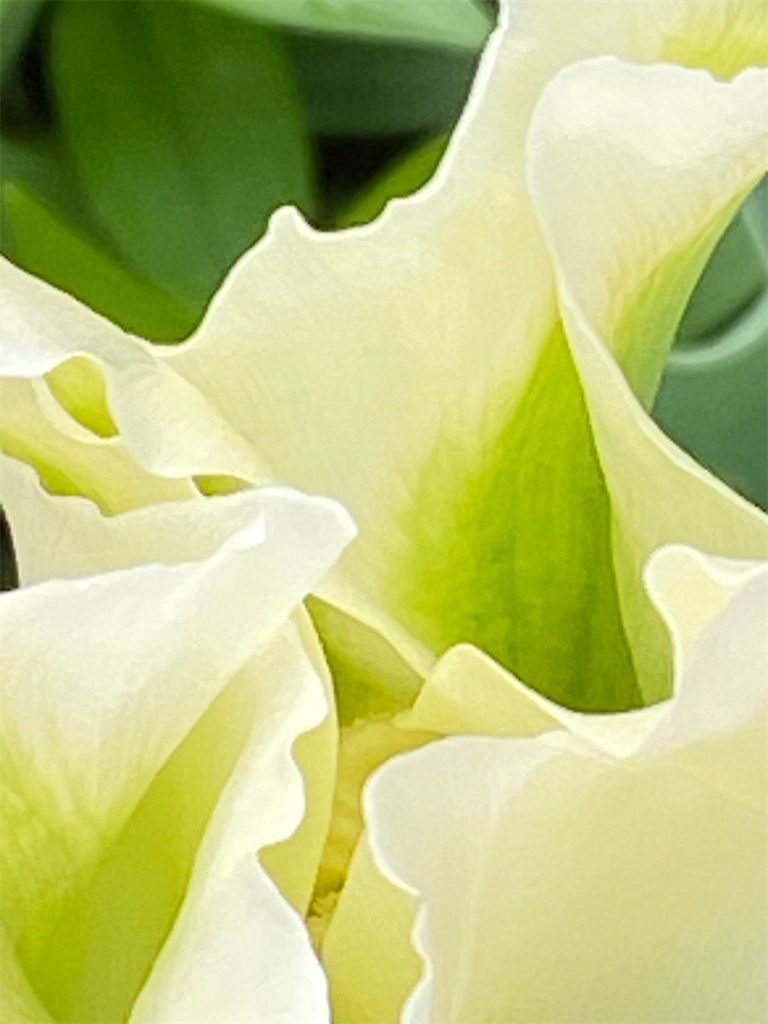 f:id:team0x:20200418053429j:image f:id:team0x:20200418053429j:image