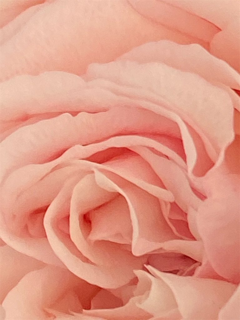 f:id:team0x:20200521074838j:image f:id:team0x:20200521074838j:image