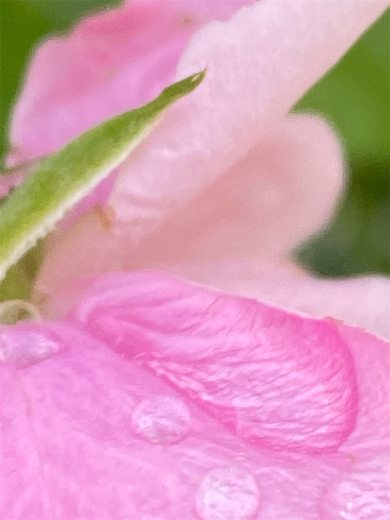 f:id:team0x:20200525074141j:image f:id:team0x:20200525074141j:image