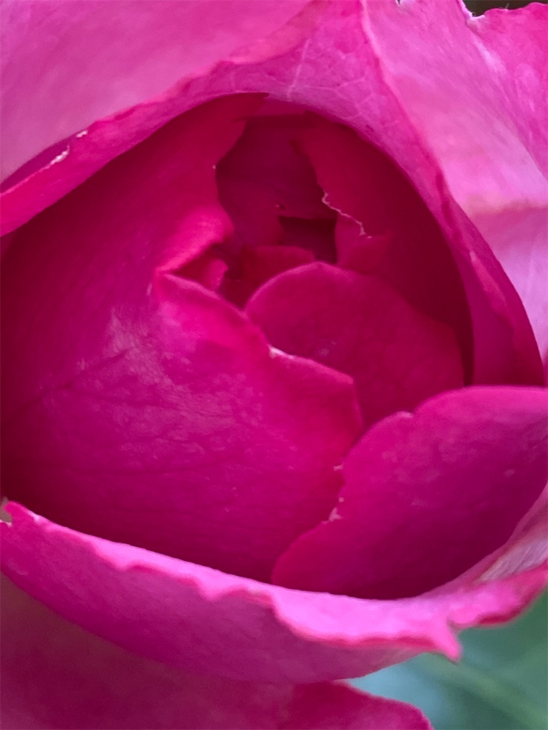 f:id:team0x:20200602135219j:image