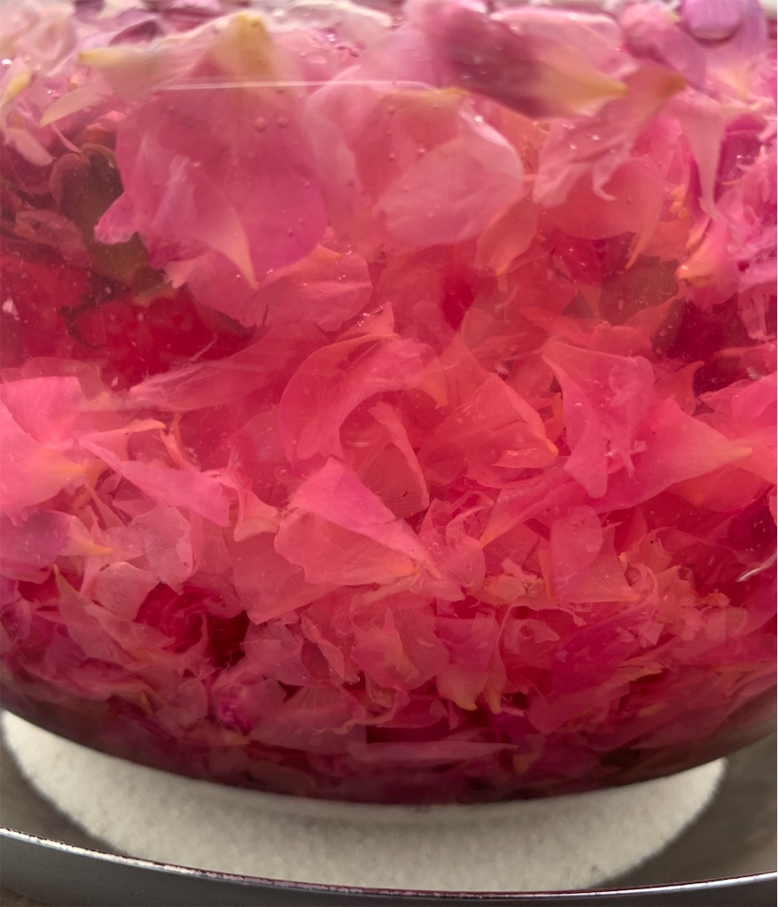 f:id:team0x:20200625065428j:image f:id:team0x:20200625065428j:image