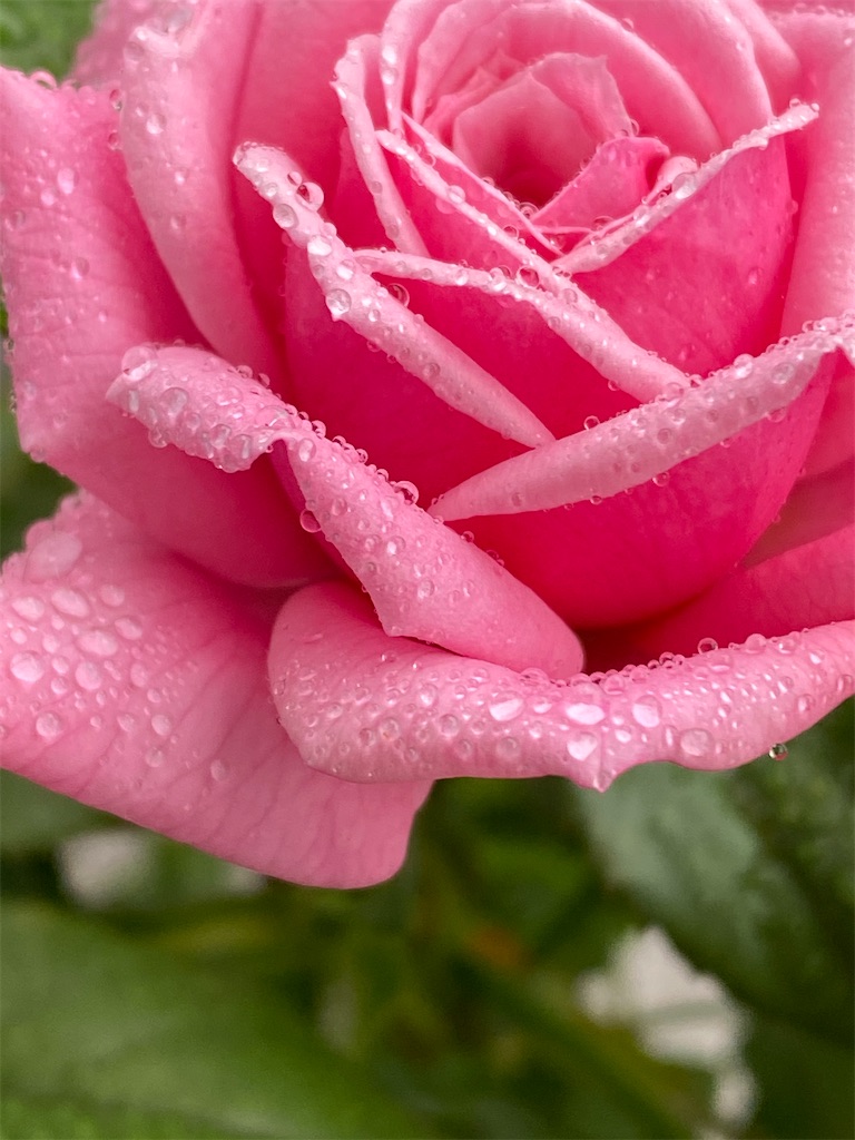 f:id:team0x:20200730061428j:image f:id:team0x:20200730061428j:image