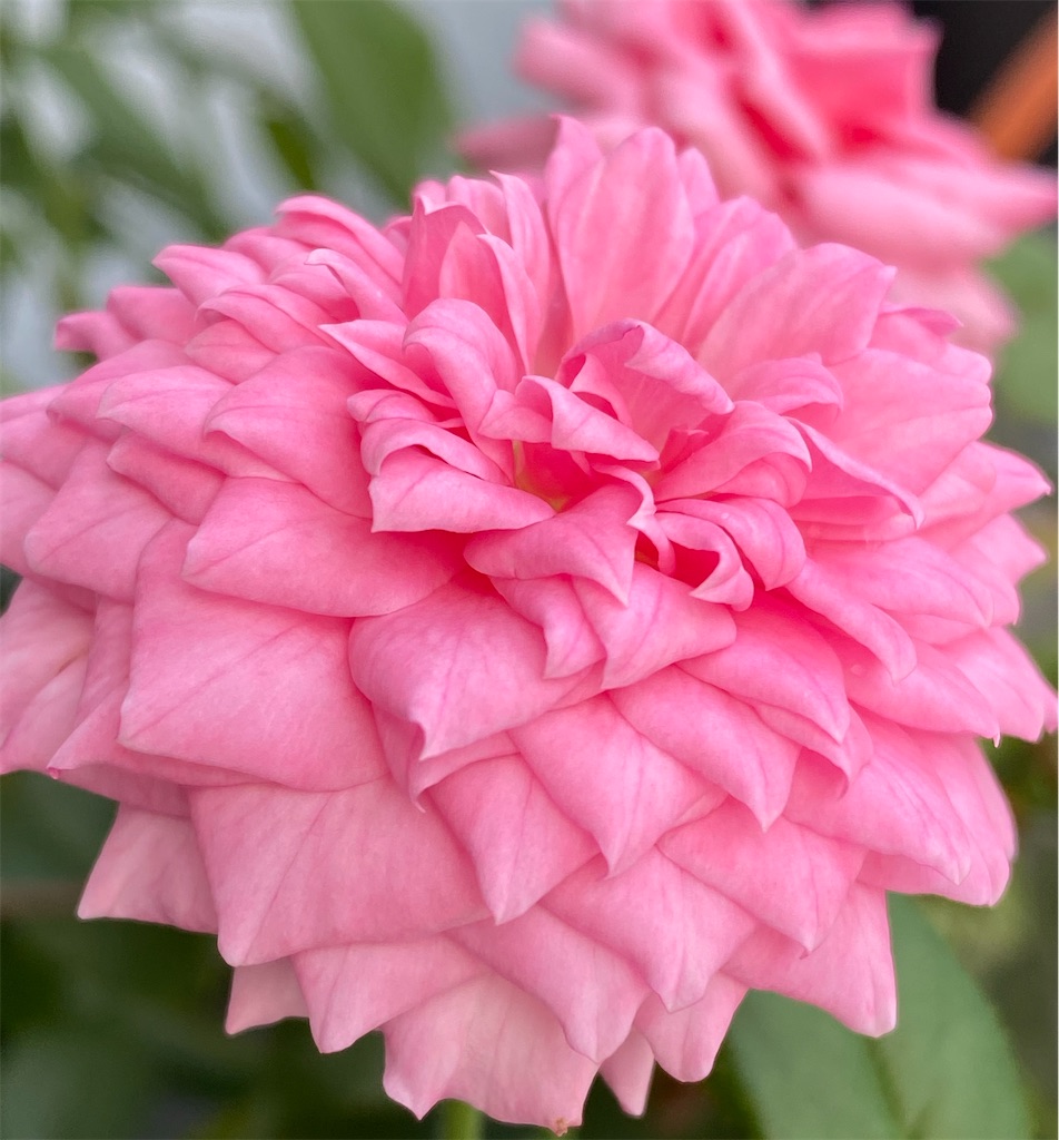 f:id:team0x:20200907051719j:image f:id:team0x:20200907051719j:image