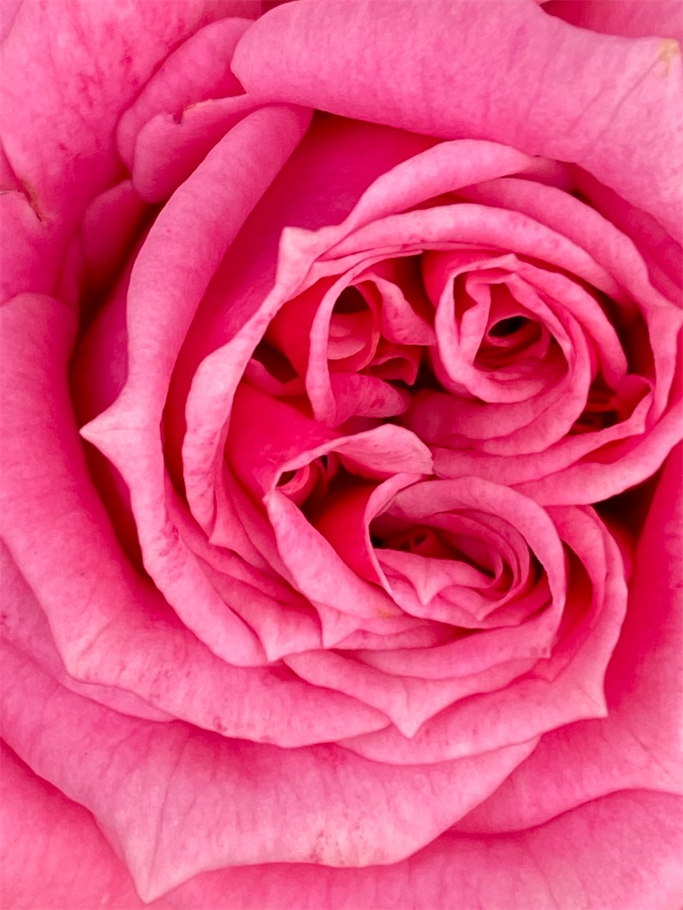 f:id:team0x:20201027110055j:image f:id:team0x:20201027110055j:image