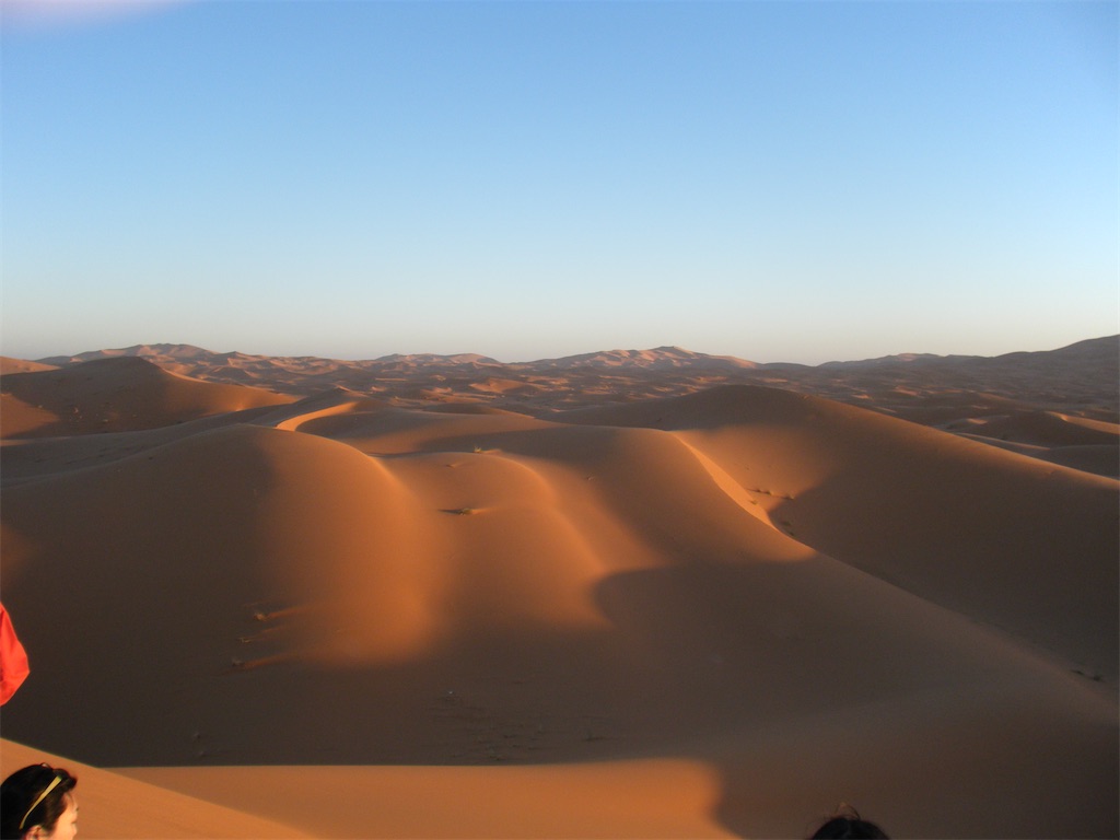 f:id:team0x:20201211072312j:image f:id:team0x:20201211072312j:image