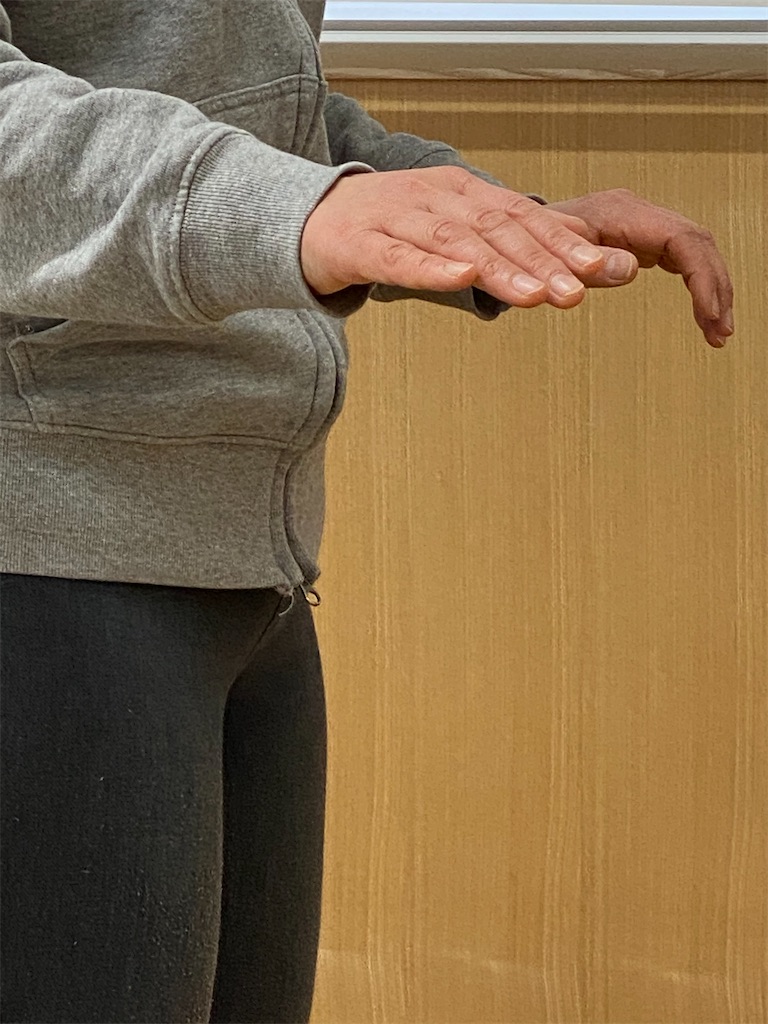 f:id:team0x:20210222065035j:image